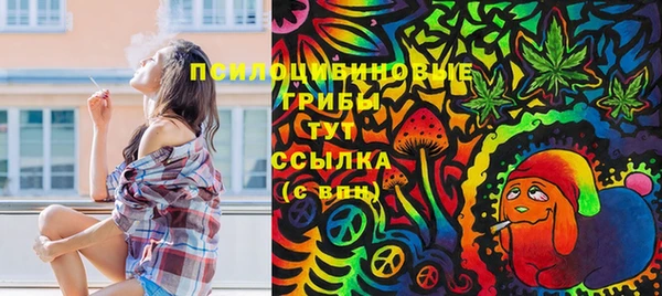 крисы Пестово