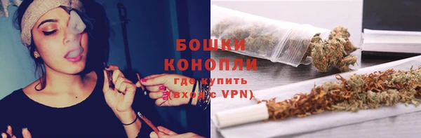 гидра Переславль-Залесский